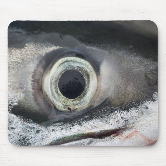Mousepad Salmão Eye (Frente)