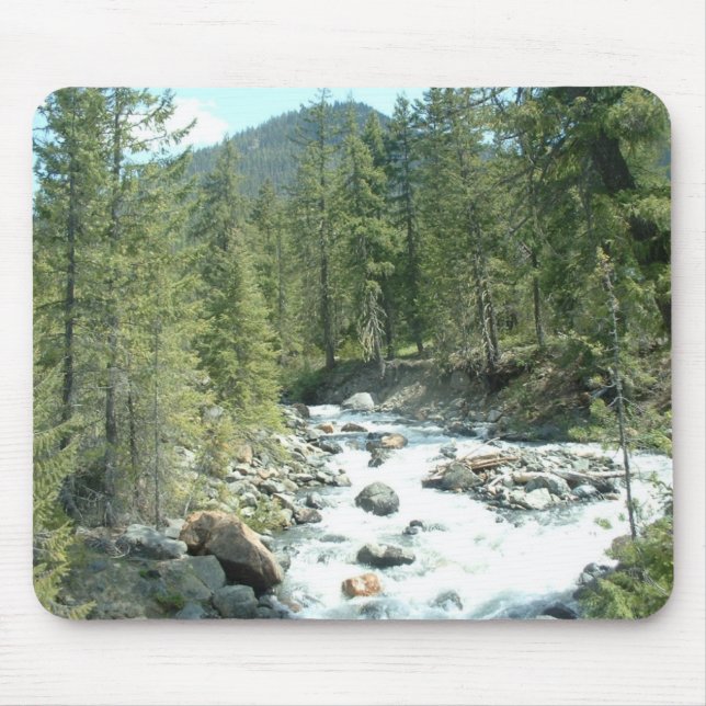 Mousepad SalmãoLaSac (Frente)