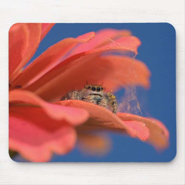 Mousepad Saltador Adorável espiando (Frente)
