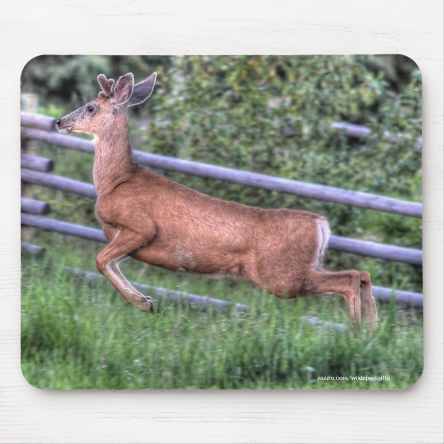 Mousepad Saltando Deer Buck em Ranch Wildlife Photo (Frente)