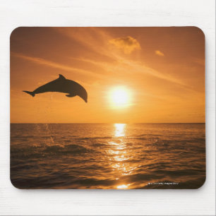 Mousepad Salto de golfinho de gargalo