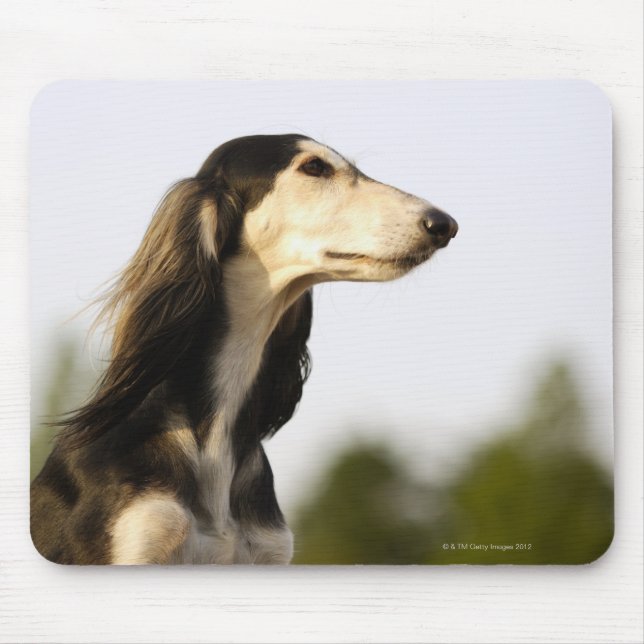 Mousepad Saluki 2 (Frente)