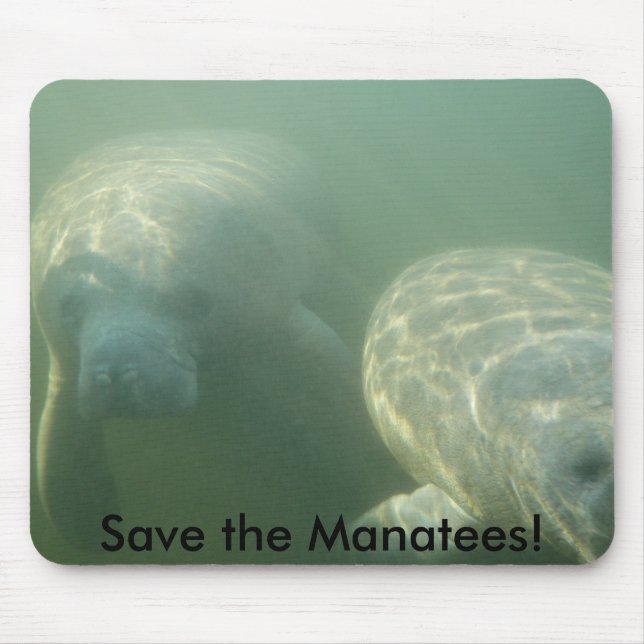 Mousepad Salvar os peixes-boi! (Frente)