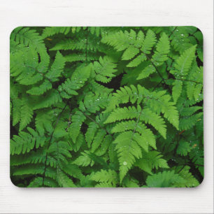 Mousepad Samambaia com gotas de chuva, Estado de Washington