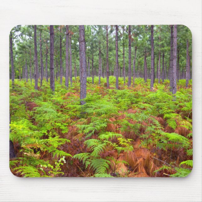 Mousepad Samambaia Comum (Pteridium Aquilinum) Crescendo (Frente)