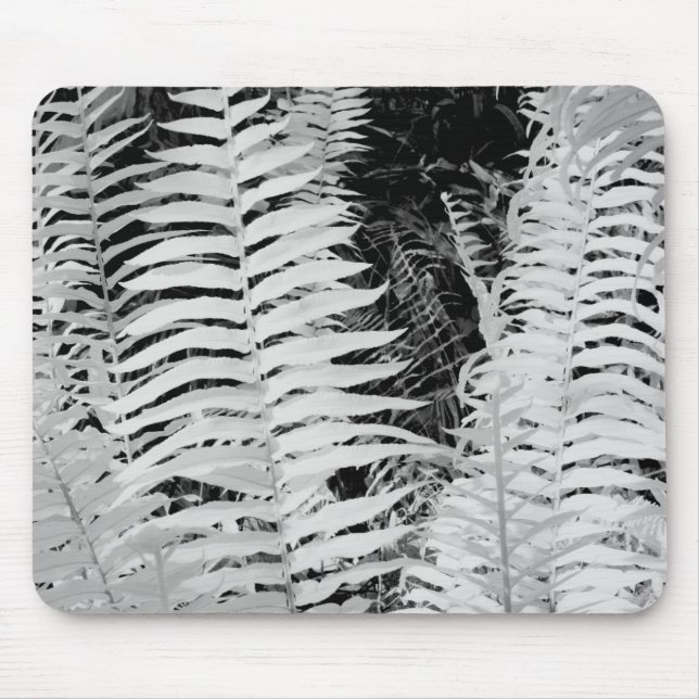 Mousepad Samambaia de couro gigante selvagem, Flórida, EUA. (Frente)