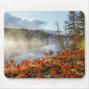 Mousepad Samambaia na Costa Paradise, Michigan