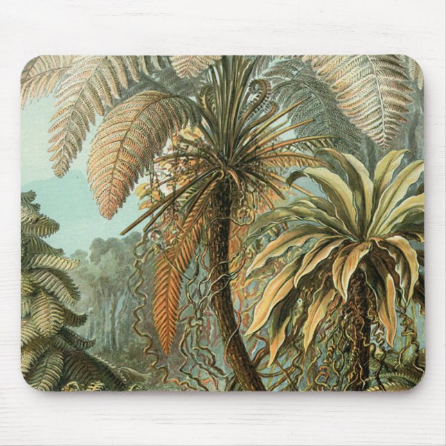Mousepad Samambaia Palmeira Antiga Arte Botânica de Samamba (Frente)