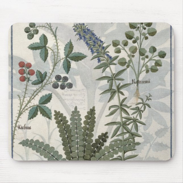 Mousepad Samambaias, amoras e flores (Frente)