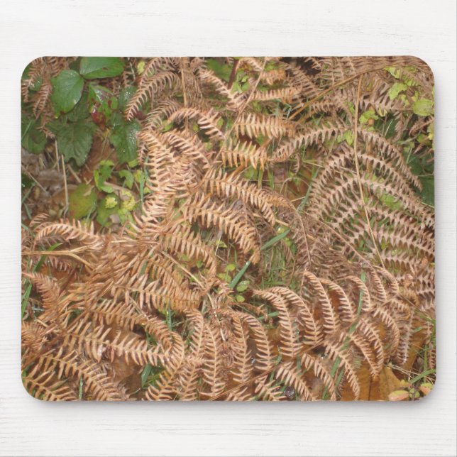 Mousepad Samambaias no outono (Frente)