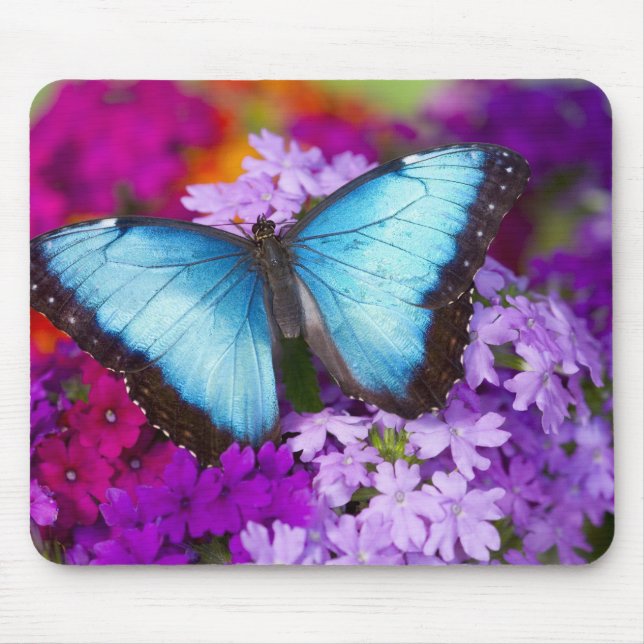 Mousepad Sammamish Washington Borboleta Tropical (Frente)