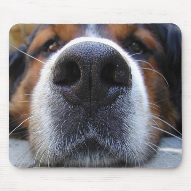 Mousepad Samson (Frente)