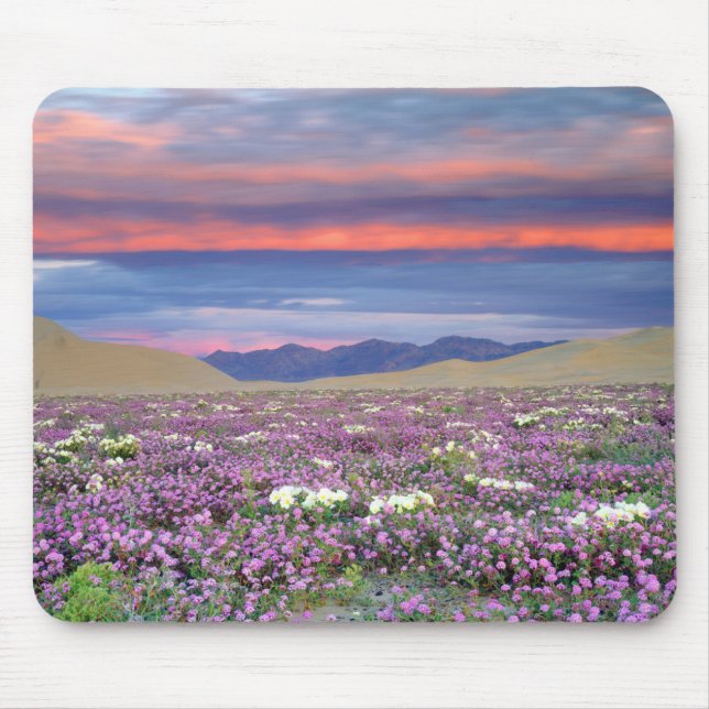 Mousepad Sand Verbena & Dune Primrose Wildflower no Sunset (Frente)