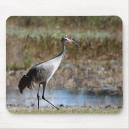 Mousepad Sandhill Crane