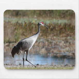 Mousepad Sandhill Crane