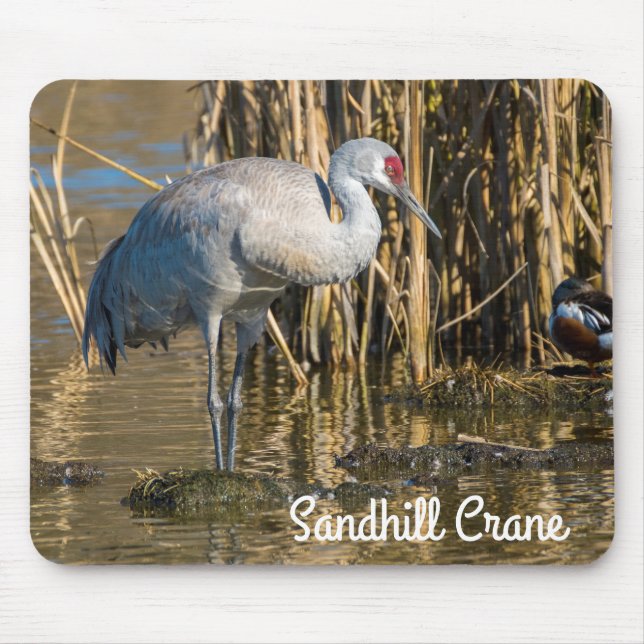 Mousepad Sandhill Crane (Frente)