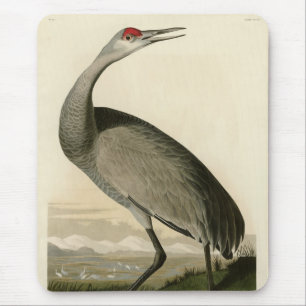 Mousepad Sandhill Crane das Aves da América de Audubon