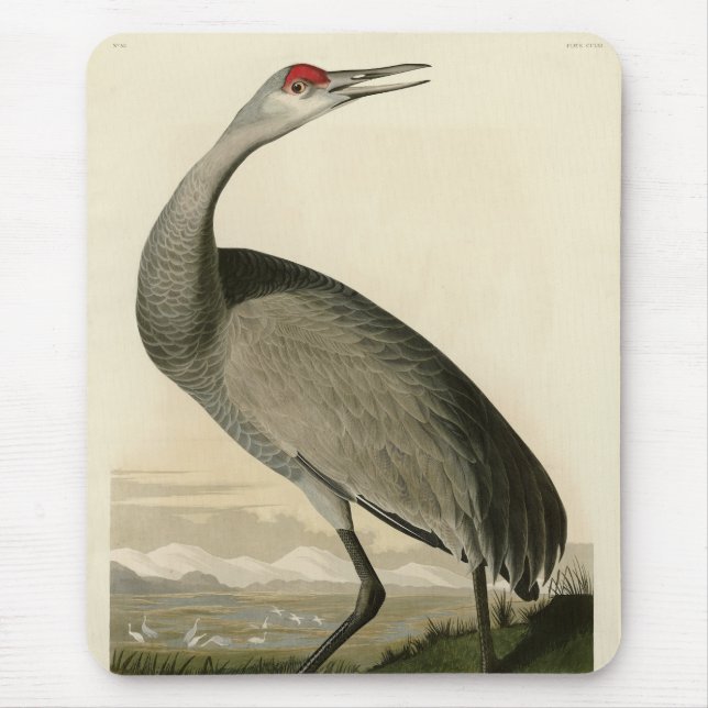Mousepad Sandhill Crane das Aves da América de Audubon (Frente)