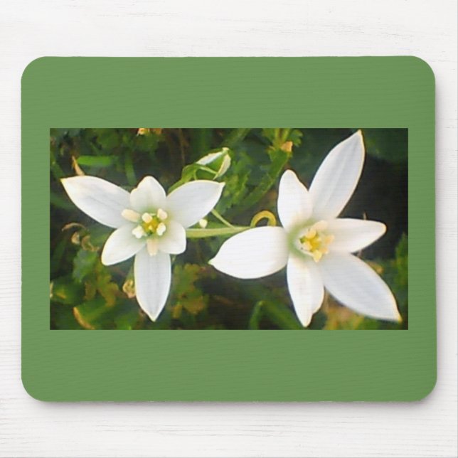 Mousepad Sangue de Flores Brancas em Springtime (Frente)