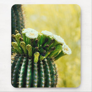 Mousepad Sangue de Saguaro
