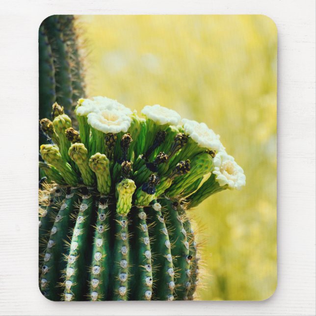 Mousepad Sangue de Saguaro (Frente)