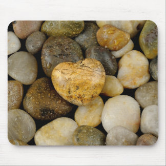 Mousepad sanguessuga de cardíaco