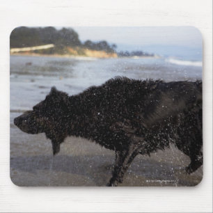 Mousepad Santa Barbara, Califórnia, EUA