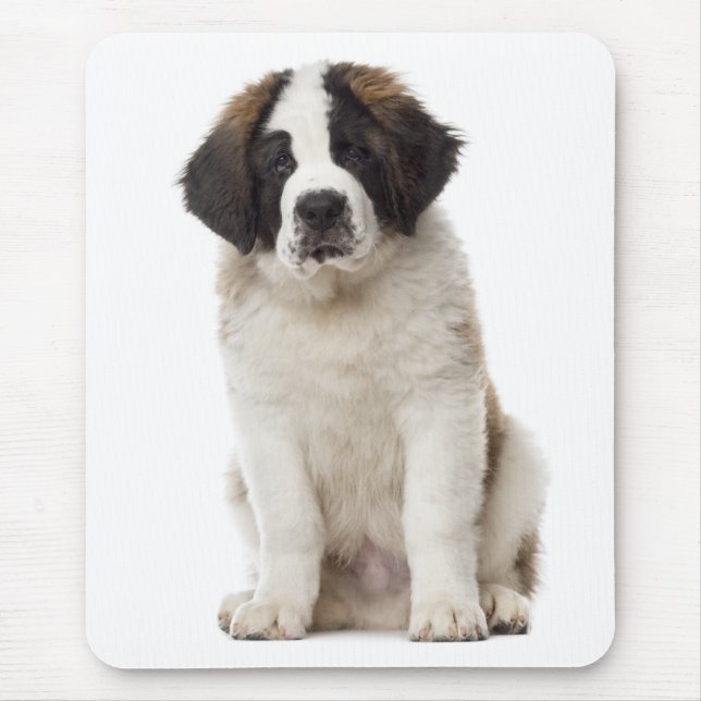 Mousepad Santo Bernard Puppy Dog Rua De Amor. Bernard (Frente)