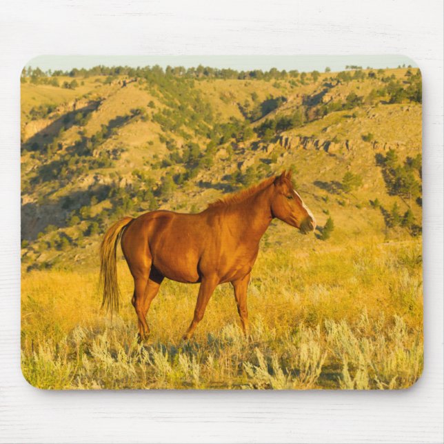 Mousepad Santuário de Cavalo Selvagem. (Frente)