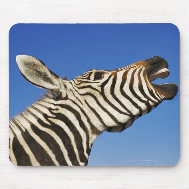 Mousepad Santuário de Harnas Wildlife, Namíbia, Sul (Frente)