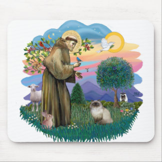 Mousepad São Francisco (ff) - Gato Himalaio Pontos de Foca