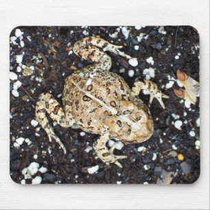 Mousepad Sapo