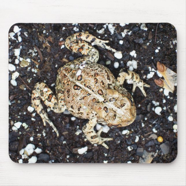 Mousepad Sapo (Frente)