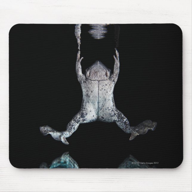 Mousepad Sapo (Frente)