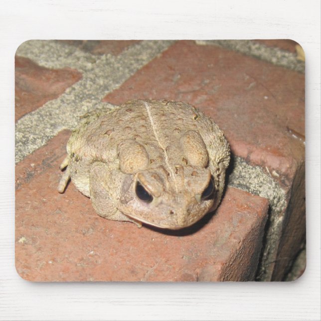 Mousepad Sapo (Frente)