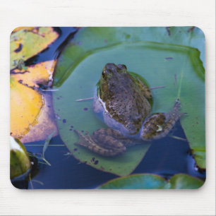 Mousepad Sapo