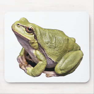 Mousepad Sapo