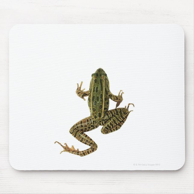MOUSEPAD SAPO 2 (Frente)