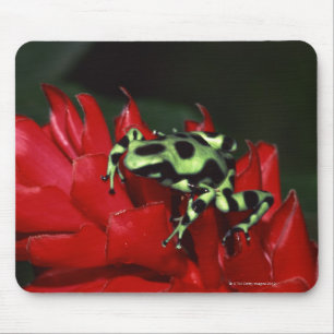 Mousepad Sapo 2 do dardo