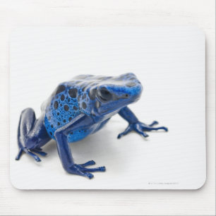 Mousepad Sapo azul do dardo do veneno (Dendrobates