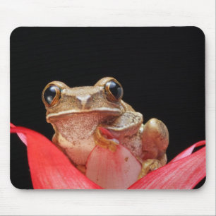 Mousepad Sapo bonito, engraçado que sustenta o lírio -