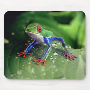 Mousepad Sapo Colorido de Árvore Vermelha nas Folhas de Pla