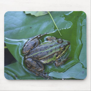 Mousepad Sapo da piscina, Amperauen, Alemanha