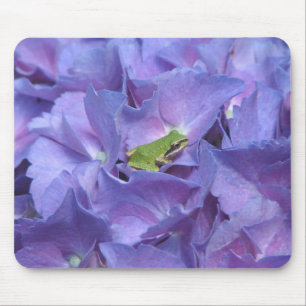 Mousepad Sapo de árvore