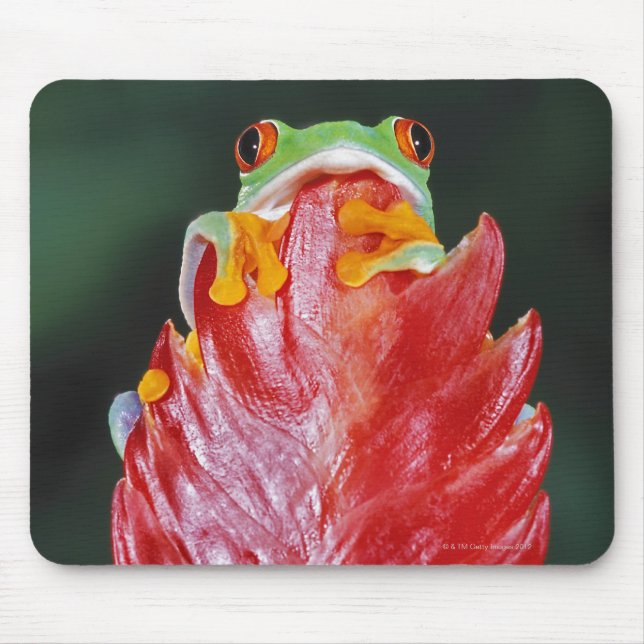 Mousepad Sapo de árvore de olhos vermelhos na folha (Frente)
