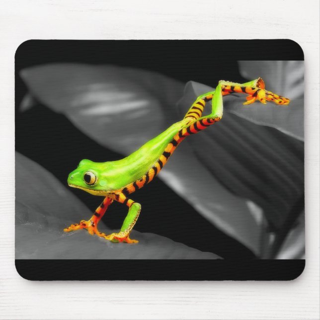 Mousepad Sapo de Árvore de Salto (Frente)