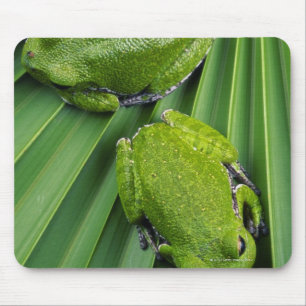 Mousepad Sapo de árvore do descascamento (gratiosa do hyla