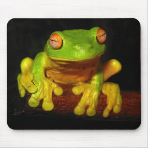 Mousepad Sapo de árvore Eyed vermelho