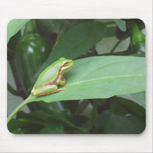 Mousepad sapo de árvore nas pimentas