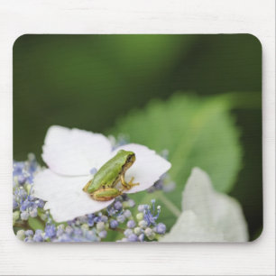 Mousepad Sapo de árvore que senta-se em um Hydrangea, Hyog